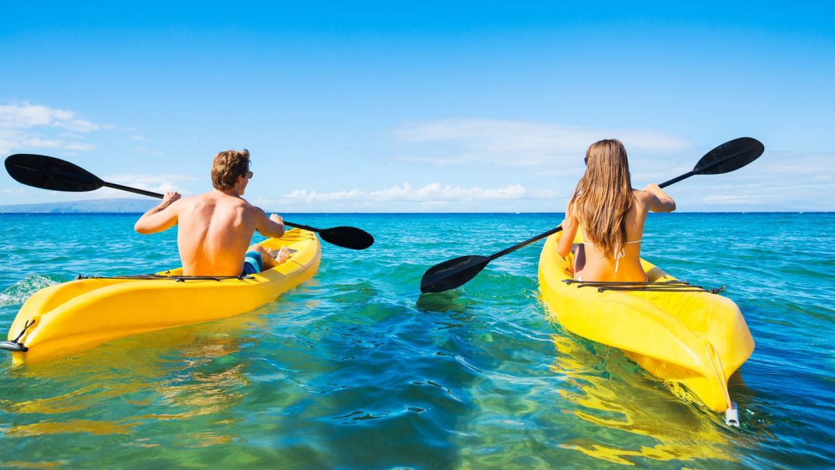 Conductividad hogar papel Kayak Decathlon: ¿es interesante comprar para tu negocio?