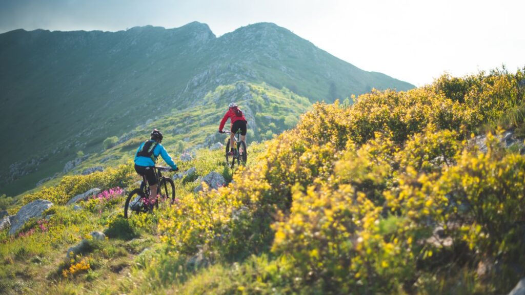 Mejores rutas BTT y consejos para organizar y practicar ciclismo de montaña