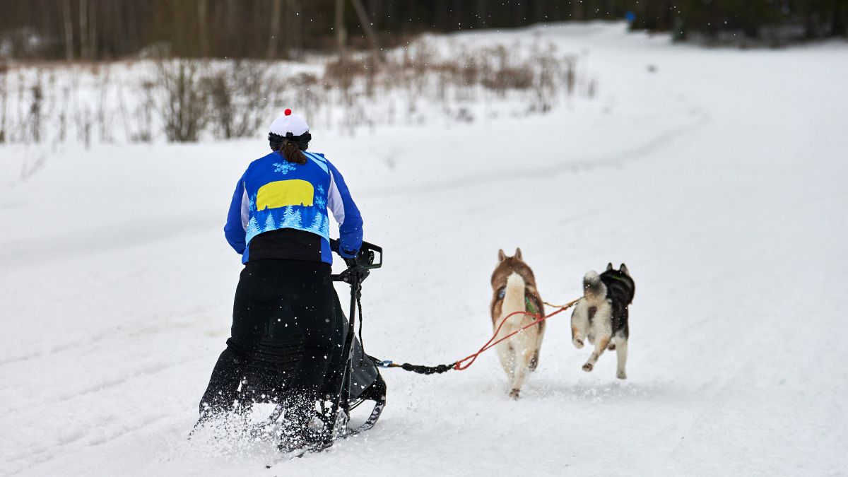 TRINEO DE NIEVE: MUSHING – Motosprint