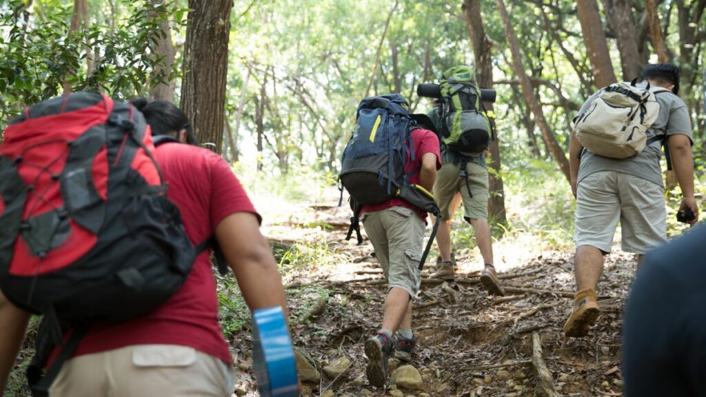 ¿Qué es el turismo activo en el medio rural?  